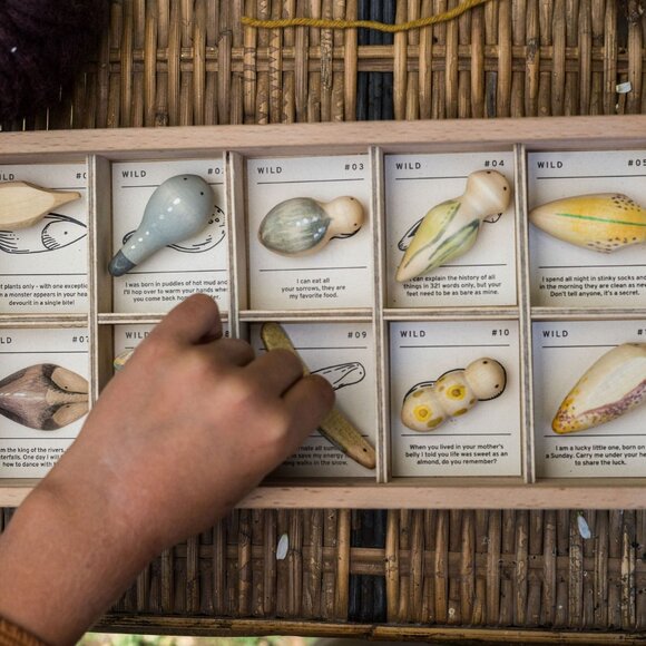 NWT Grapat Wooden Toys Wild Set - Picture 5 of 6